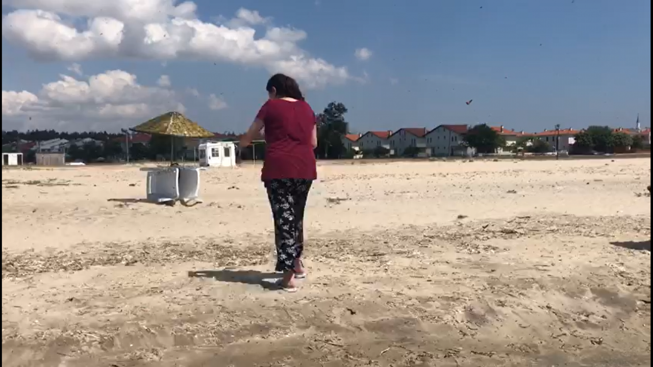 Bir ilçeyi istila ettiler! 'Çok kötü ısırıyorlar' 6