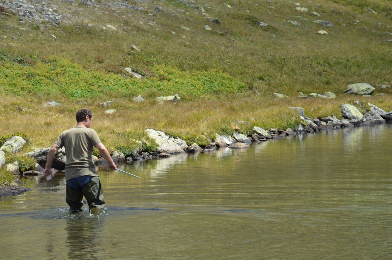 Türkiye'de bir ilk! Kaçkar Dağları’nda ortaya çıktı 7