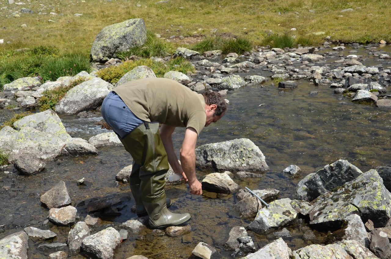 Türkiye'de bir ilk! Kaçkar Dağları’nda ortaya çıktı 6