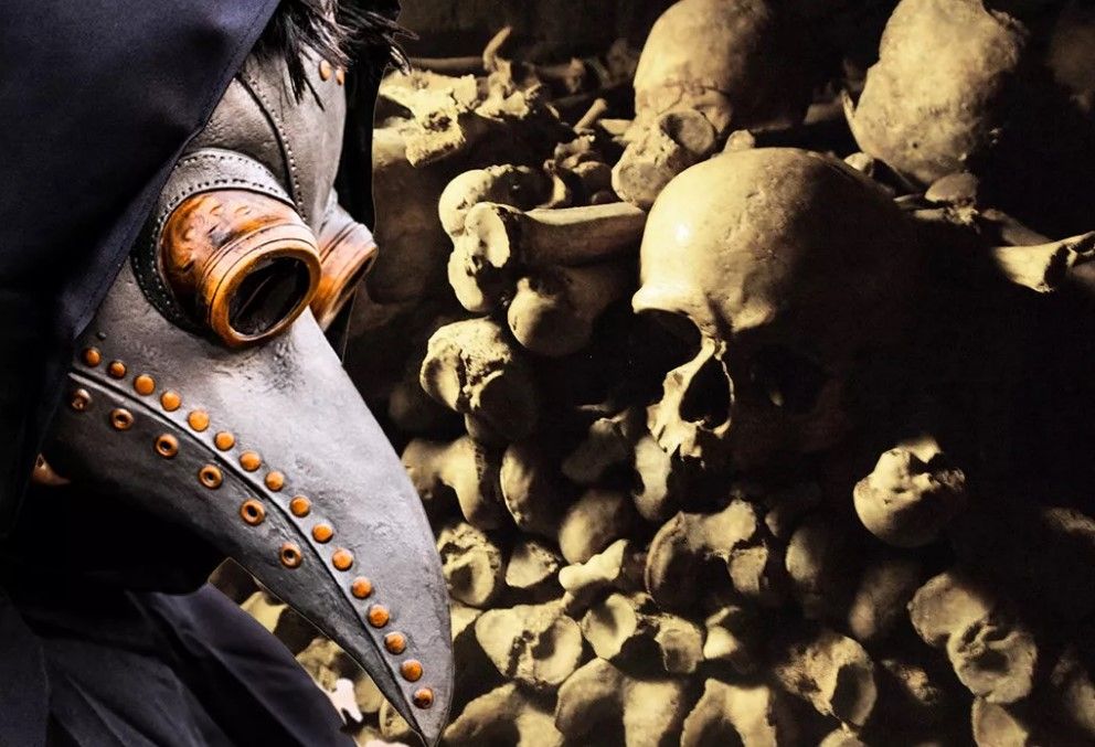 3 kıtada nüfusun yarısını yok etti! Kara veba salgınının kaynağı tespit edildi 1