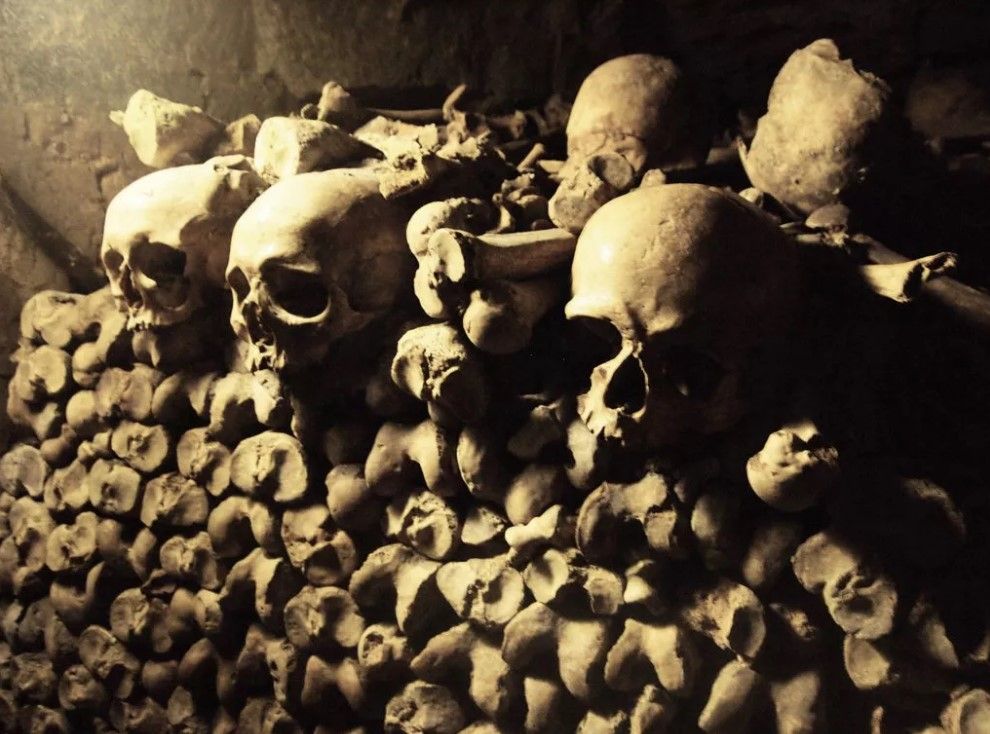 3 kıtada nüfusun yarısını yok etti! Kara veba salgınının kaynağı tespit edildi 3