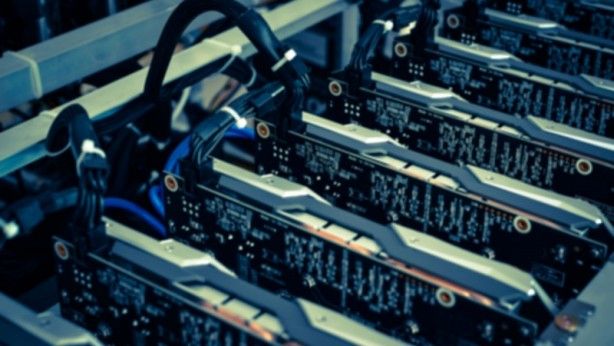 Kripto paradaki çöküş onlara yaradı 11