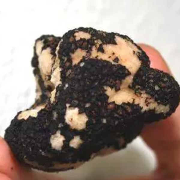 Bulan zengin oluyor! İşte dünyanın en değerlileri... 14