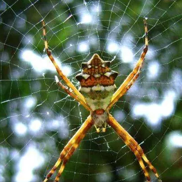 Bulan zengin oluyor! İşte dünyanın en değerlileri... 15