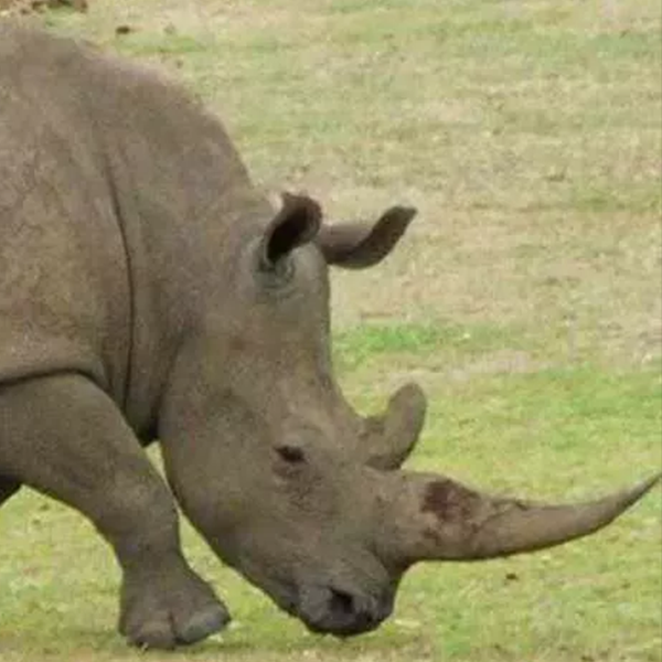 Bulan zengin oluyor! İşte dünyanın en değerlileri... 5