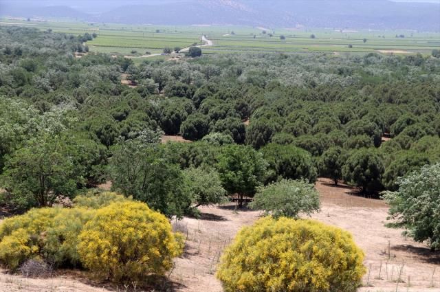 Çöle benzediği için dizi çekilmişti, şimdi görenlerin ağzı açık kalıyor 9