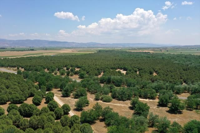 Çöle benzediği için dizi çekilmişti, şimdi görenlerin ağzı açık kalıyor 8