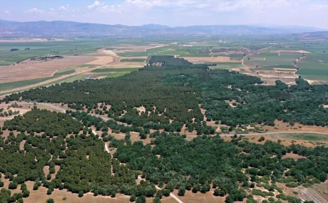 Çöle benzediği için dizi çekilmişti, şimdi görenlerin ağzı açık kalıyor 4