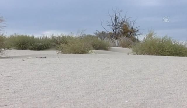 Çöle benzediği için dizi çekilmişti, şimdi görenlerin ağzı açık kalıyor 2
