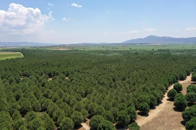 Çöle benzediği için dizi çekilmişti, şimdi görenlerin ağzı açık kalıyor 7