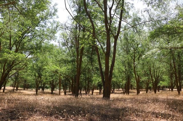 Çöle benzediği için dizi çekilmişti, şimdi görenlerin ağzı açık kalıyor 1