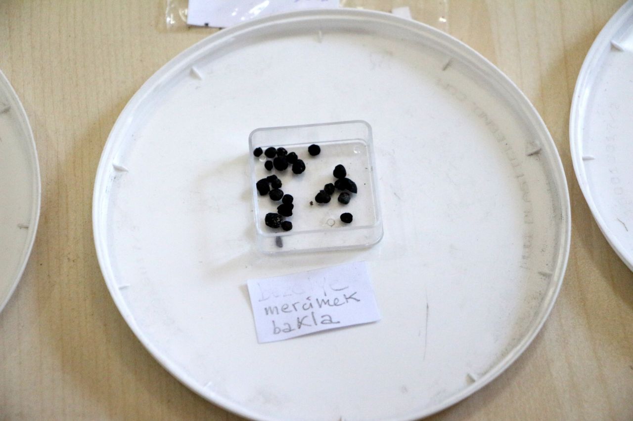 Tarihi değiştirebilir! Adana'da bulundu, tam 3 bin yıllık 6