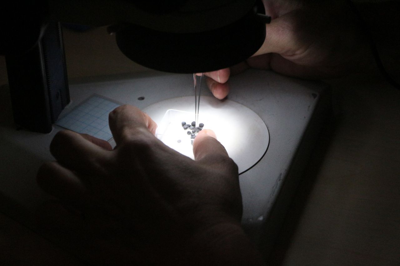 Tarihi değiştirebilir! Adana'da bulundu, tam 3 bin yıllık 7