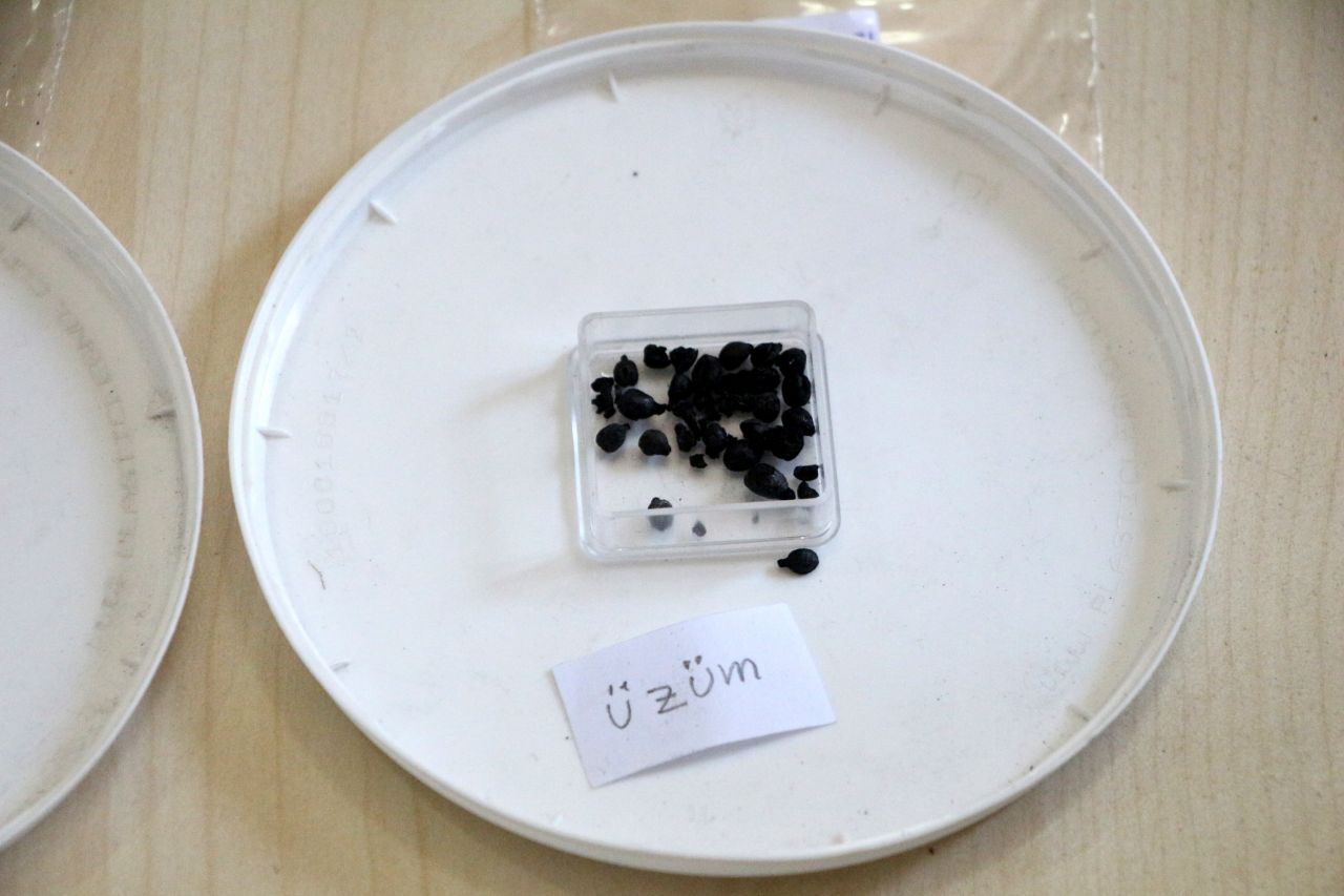 Tarihi değiştirebilir! Adana'da bulundu, tam 3 bin yıllık 4