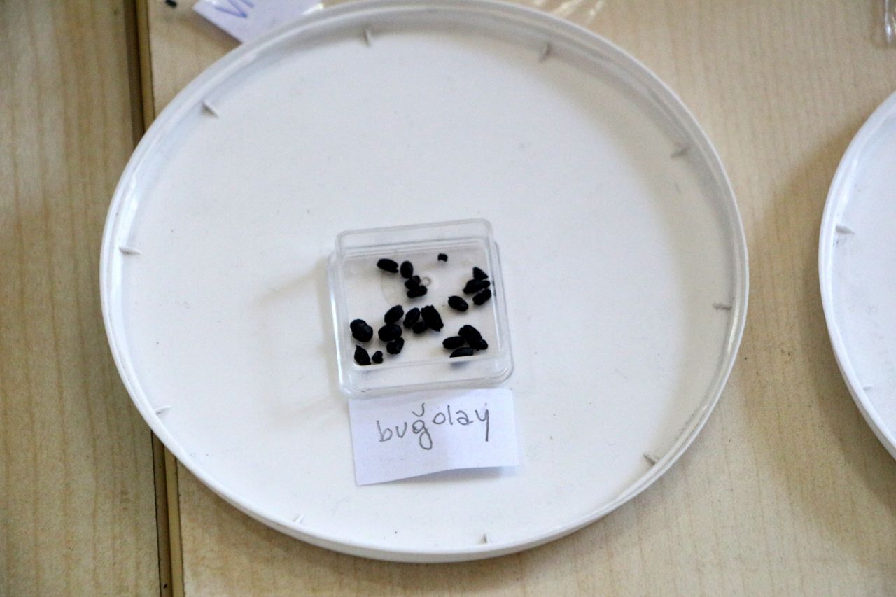 Tarihi değiştirebilir! Adana'da bulundu, tam 3 bin yıllık 5