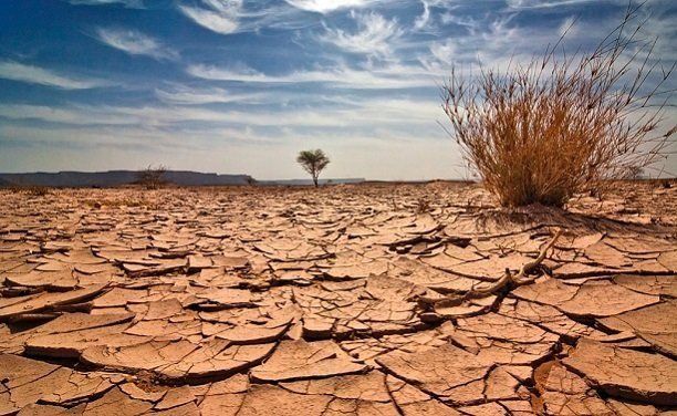 3. Dünya Savaşı neden çıkacak? Uzmanlar uyardı 2