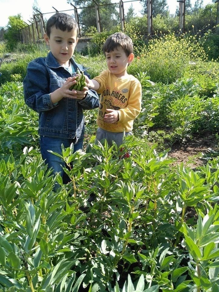 Baba ve oğullarının hayatını kaybettiği kazada acı detay 2