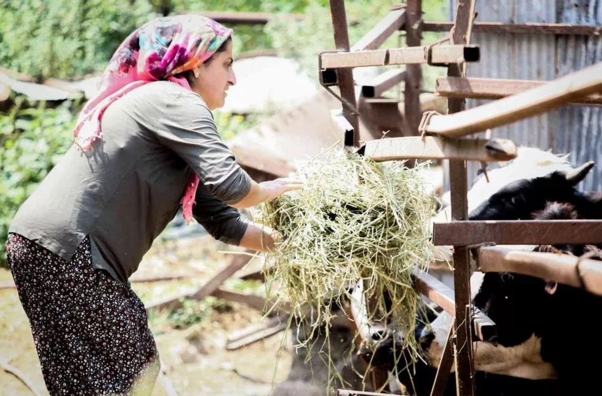 Bileziklerini satıp bu işe girdi! Milyonluk servet sahibi oldu 3