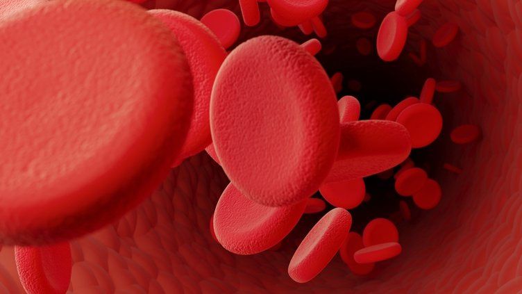 Bu yiyecek damarların düşmanı! Erken ölüme neden oluyor: Tüketmeyin 44