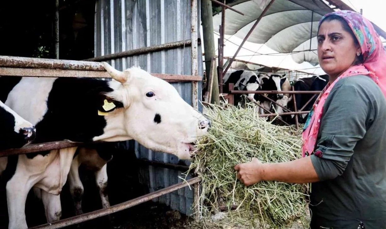 Bileziklerini satıp bu işe girdi! Milyonluk servet sahibi oldu 5