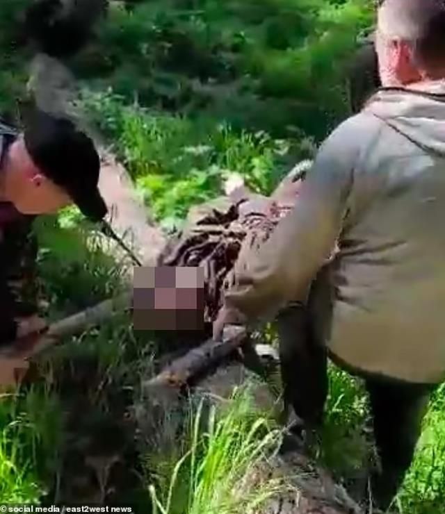 Vurduğu ayının yanına giden avcı hayatının hatasını yaptı 5