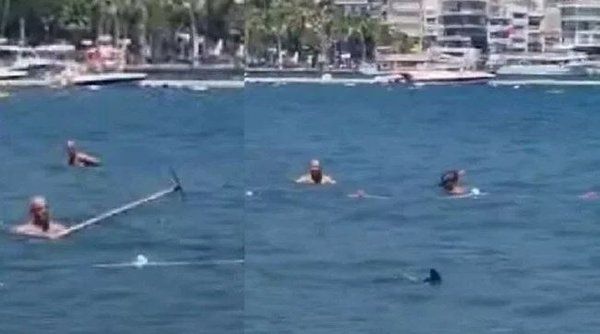 Marmaris'teki köpek balığı paniğinin kahramanı: ‘2 gündür peşindeydim...’ 2