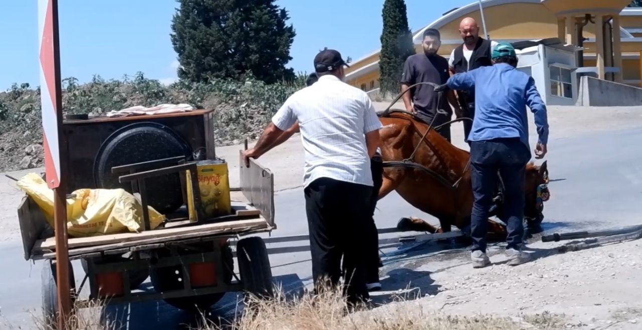 40 derecelik havada yük taşıyan at yere yığıldı! Vatandaşlar hemen yardıma koştu 4
