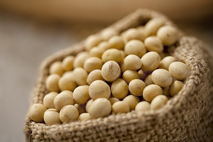 Birkaç haftada yağ hücrelerini kas hücrelerine çeviren mucize! Çelik gibi vücudun sırrı 14