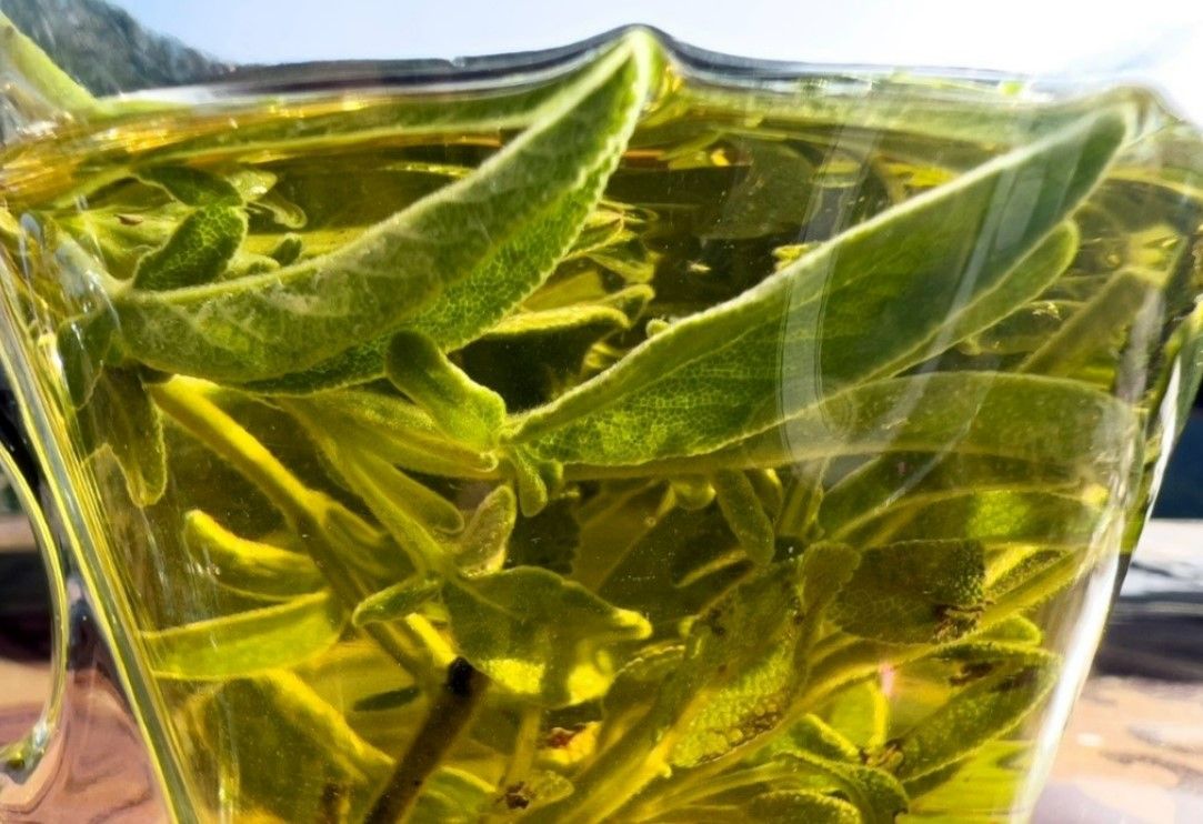 Tıbbın vazgeçemediği en etkili besin! İlaçtan daha etkili olduğu kanıtlandı! Ağrıyı anında kesiyor 16