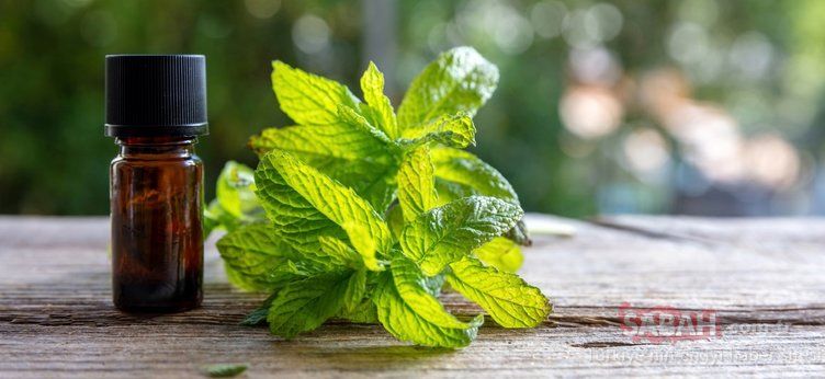 Tıbbın vazgeçemediği en etkili besin! İlaçtan daha etkili olduğu kanıtlandı! Ağrıyı anında kesiyor 18