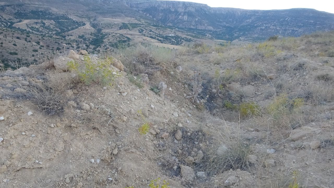 Define savaşı! 'Altında altın var' 2