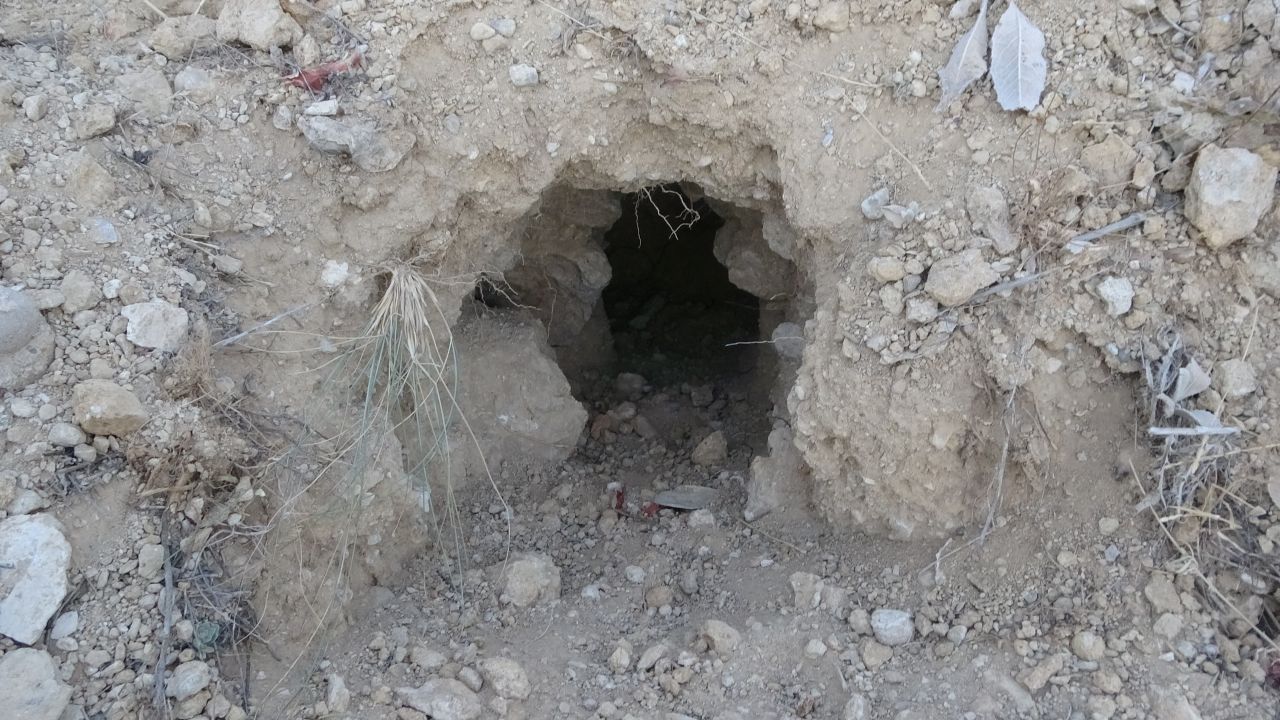 Define savaşı! 'Altında altın var' 4