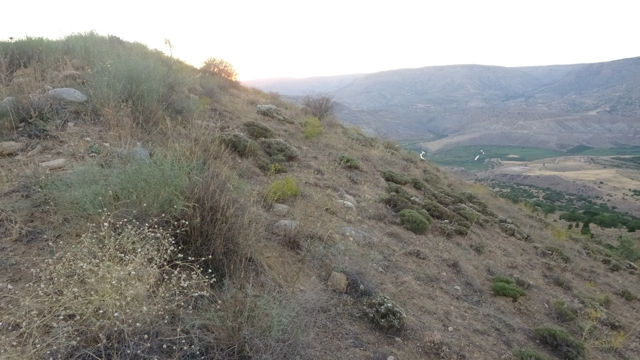 Define savaşı! 'Altında altın var' 5