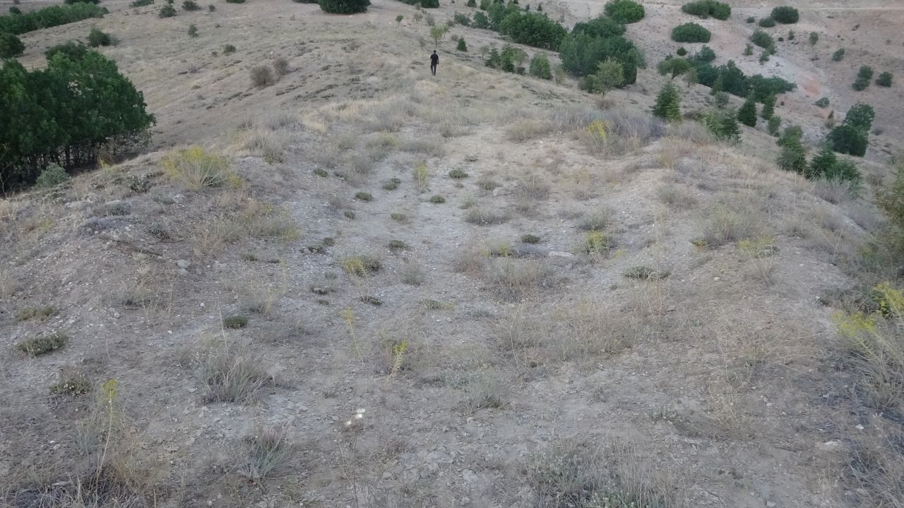 Define savaşı! 'Altında altın var' 6