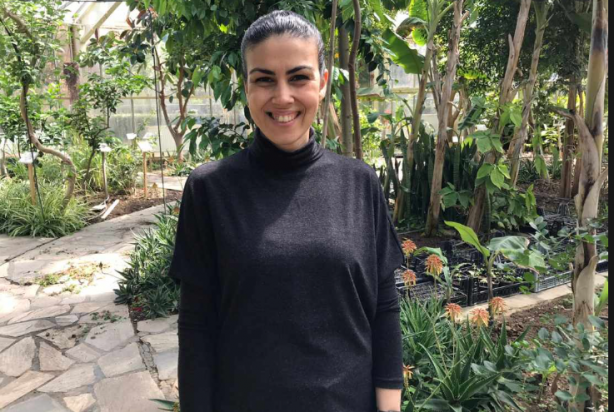 Limonun üzerine karanfilleri yerleştirin ve olacakları görün! 1