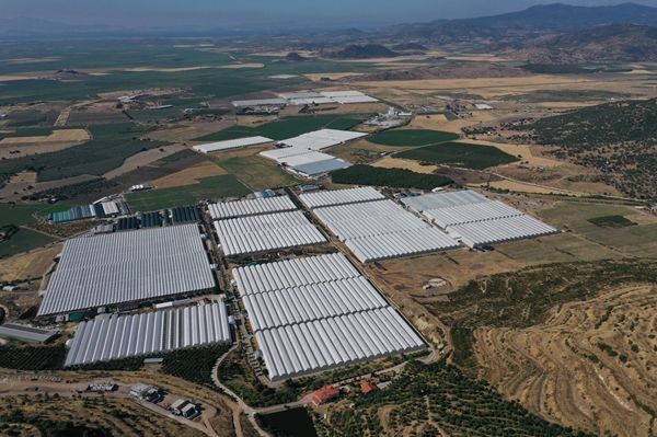 Hollanda engeli kalktı... Türkiye'ye muhtaçlar 1