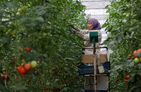Hollanda engeli kalktı... Türkiye'ye muhtaçlar 12