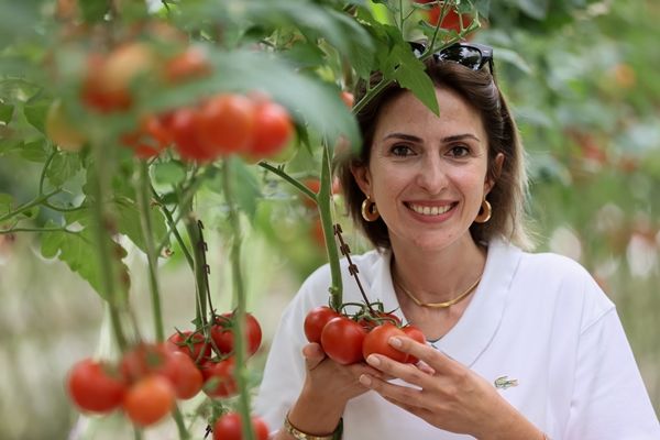 Hollanda engeli kalktı... Türkiye'ye muhtaçlar 15