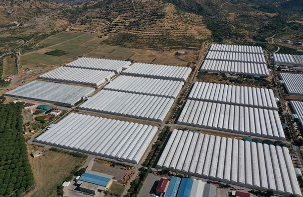 Hollanda engeli kalktı... Türkiye'ye muhtaçlar 2