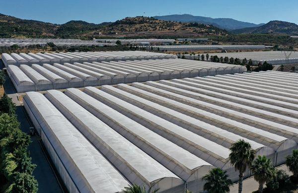 Hollanda engeli kalktı... Türkiye'ye muhtaçlar 3