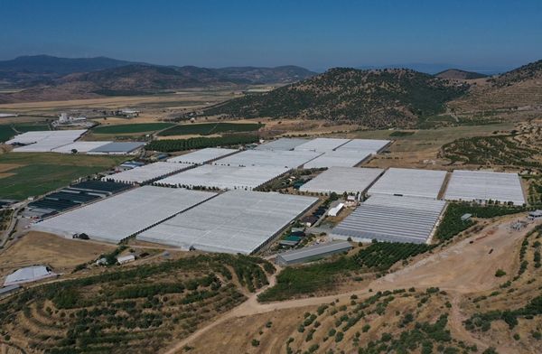 Hollanda engeli kalktı... Türkiye'ye muhtaçlar 4