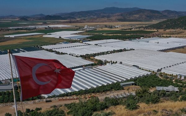 Hollanda engeli kalktı... Türkiye'ye muhtaçlar 5