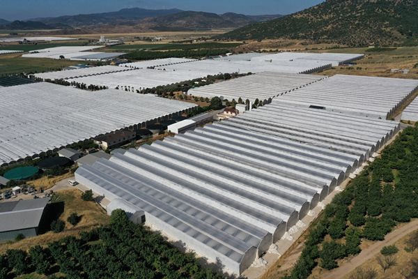 Hollanda engeli kalktı... Türkiye'ye muhtaçlar 6