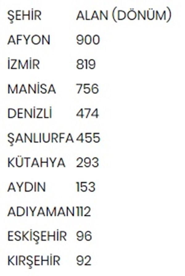 Hollanda engeli kalktı... Türkiye'ye muhtaçlar 7