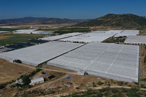 Hollanda engeli kalktı... Türkiye'ye muhtaçlar 8