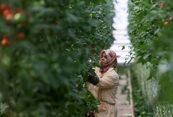 Hollanda engeli kalktı... Türkiye'ye muhtaçlar 9