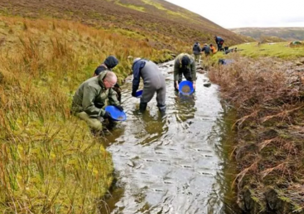 Nehirde yüzerken eline çarptı! Yanlışlıkla dünyanın en büyük altınını buldu... 2