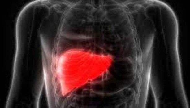 Karaciğerin sağlıklı olup olmadığını gösteren 10 işaret 11