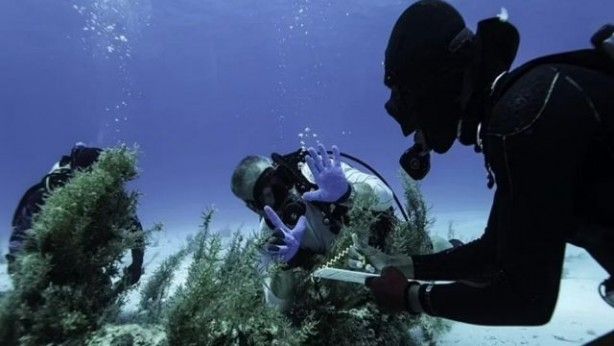 Kimse bunu beklemiyordu! Dev hazine bulundu 6