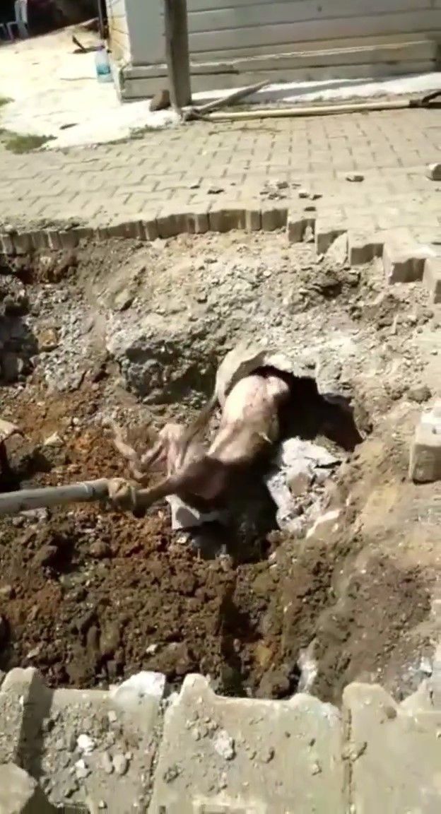 Denizli'de yerin altından garip sesler geliyordu! Çıkan şey herkesi şaşkına çevirdi 1